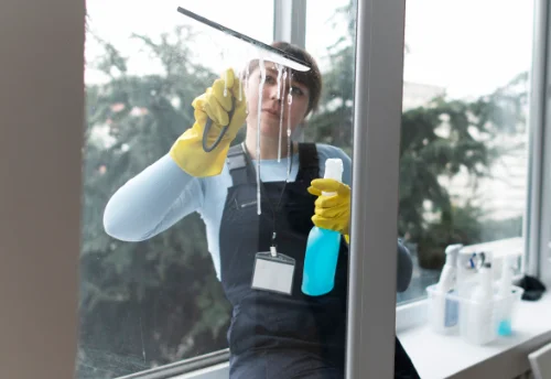 Nettoyage de vitres intérieures et extérieures à Bassurels